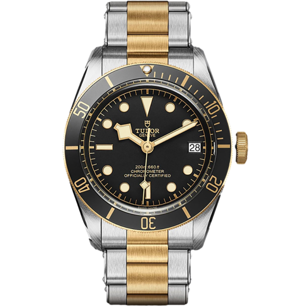 Tudor Black Bay 41 mm M79733N-0008